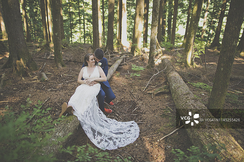森林中坐在树干上的浪漫新婚夫妇图片素材