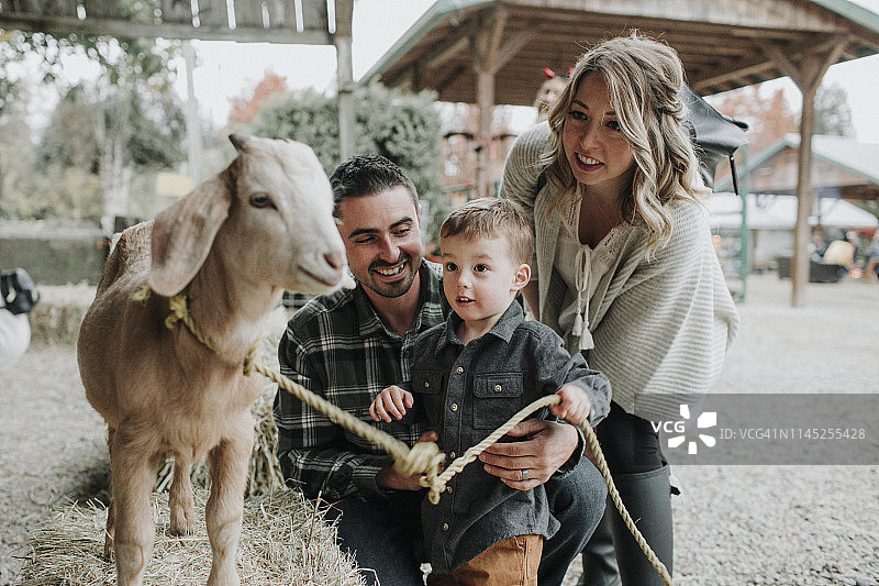 在农场里，可爱的儿子惊讶地看着父母和山羊图片素材