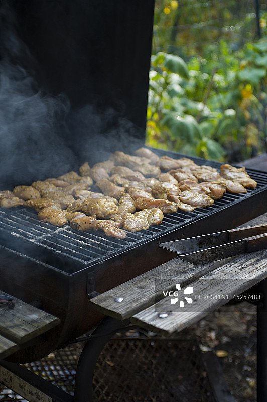 森林中烧烤架上烤鸡的高角度视图图片素材