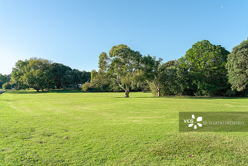 公园里的草原天空和草地背景图片素材