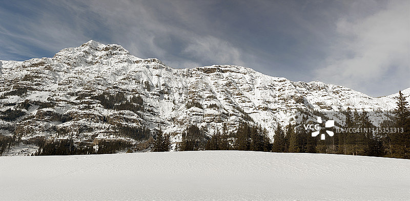 黄石国家公园的巴罗内特峰图片素材