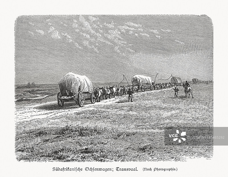 南非牛车，德兰士瓦，1897年木刻版画图片素材