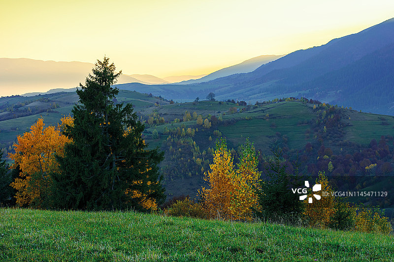 黎明时分美丽的秋季景色图片素材