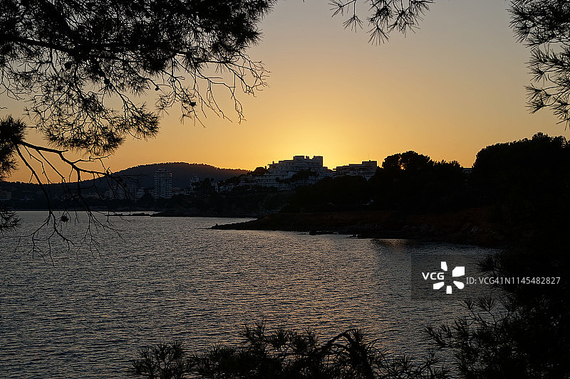 西班牙马略卡岛帕尔马诺瓦的日落，树图片素材