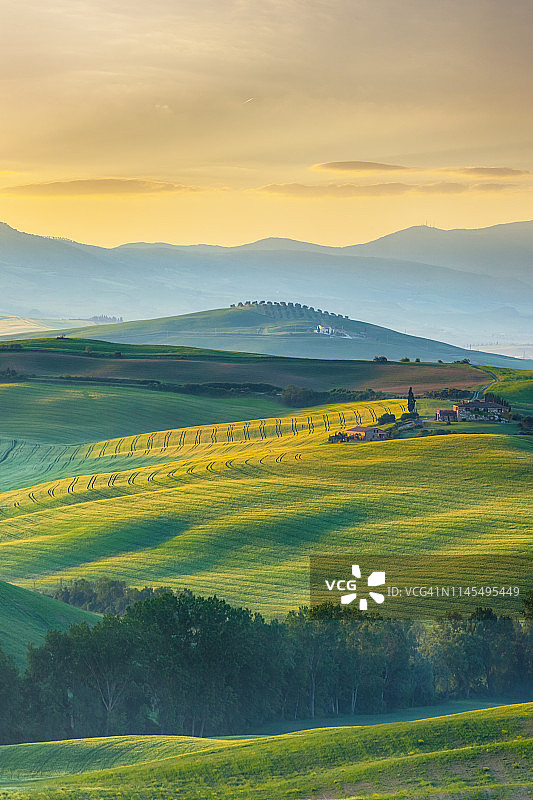 意大利托斯卡纳的绿色山丘图片素材