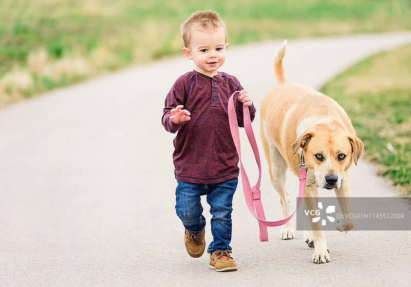 快乐的孩子遛狗图片素材