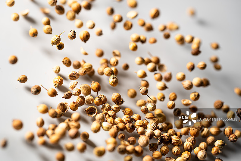 白色背景下的高速摄影芫荽籽图片素材