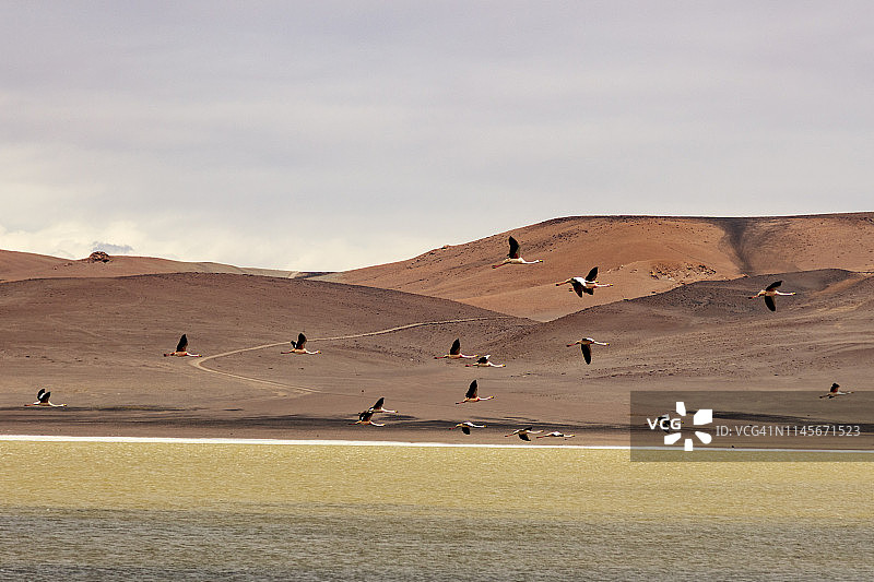 2018年1月19日，位于智利阿塔卡马沙漠3950米高的阿瓜斯卡连特斯盐湖图片素材