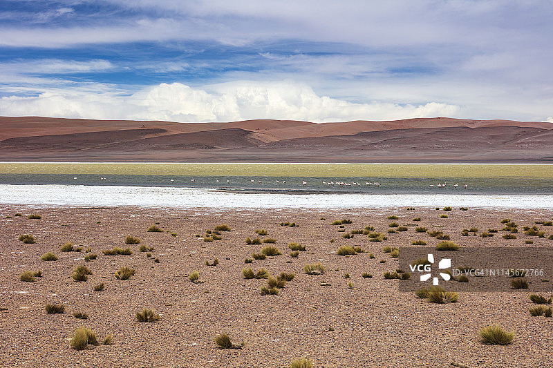 2018年1月19日，位于智利阿塔卡马沙漠3950米高的阿瓜斯卡连特斯盐湖图片素材