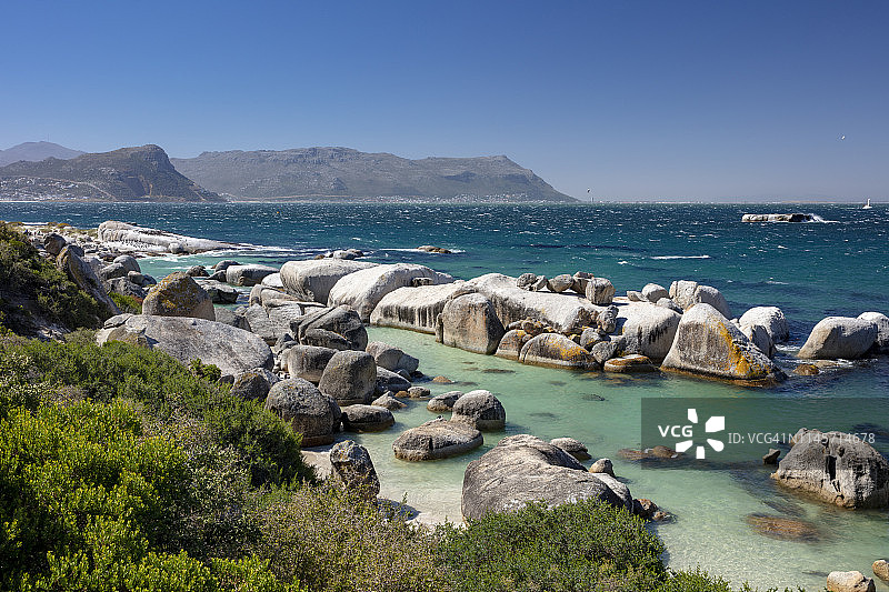 南非开普半岛西蒙镇的巨石海滩企鹅栖息地，2018年11月22日图片素材