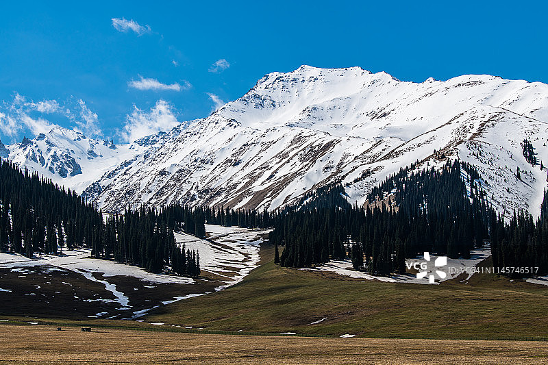 新疆那拉提草原雪山图片素材
