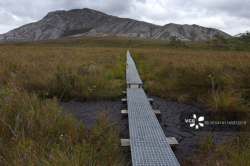 从考克斯湾到Melaleuca的小路图片素材