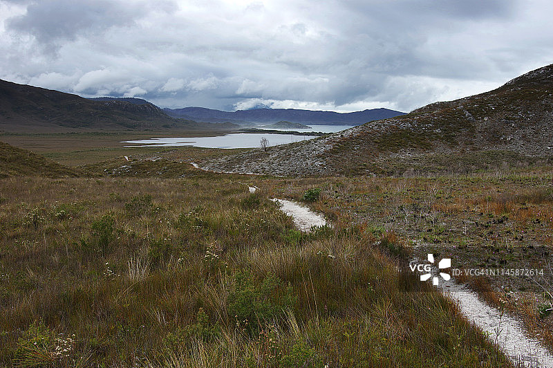从考克斯湾到Melaleuca的小路图片素材