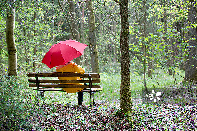 独自一人身处森林图片素材