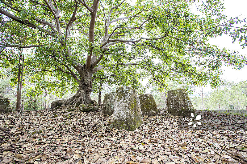 老挝川圹的著名石缸平原图片素材
