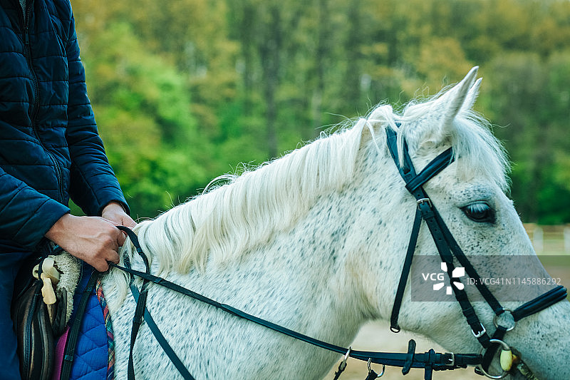 扩展小跑盛装舞步图片素材