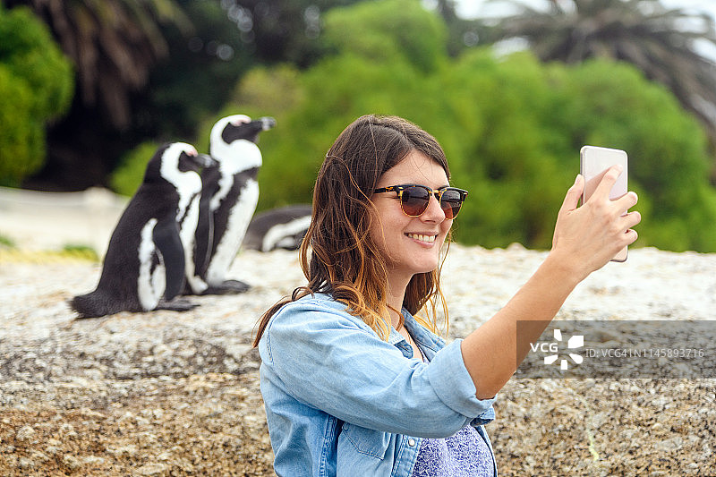 游客在南非西蒙镇与非洲企鹅自拍图片素材