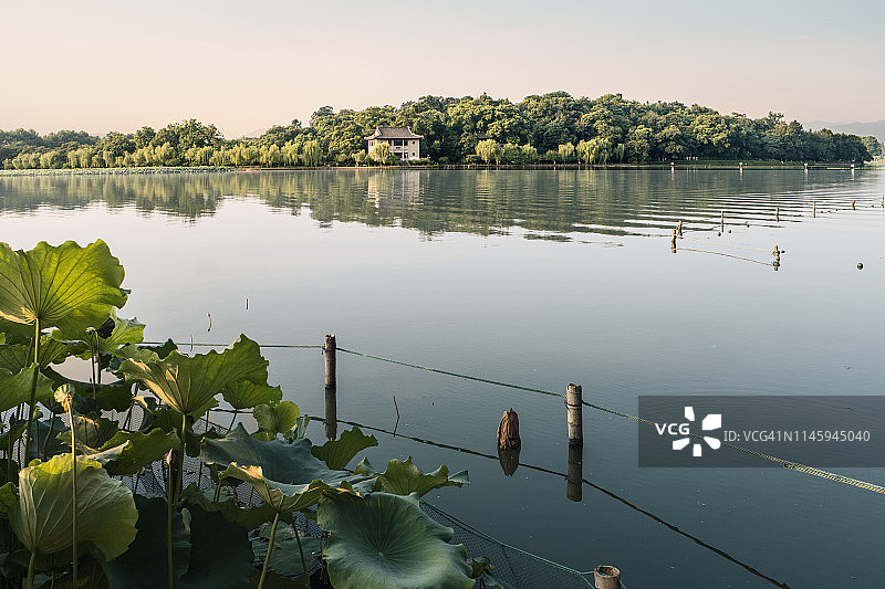 中国杭州西湖孤山的古建筑和荷叶图片素材