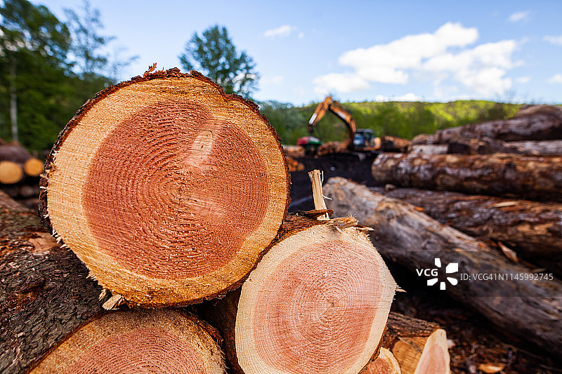 木头 - 堆叠的树干图片素材