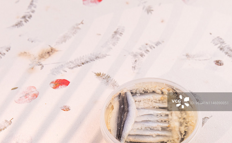 凤尾鱼片图片素材