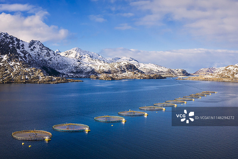挪威罗弗敦峡湾的三文鱼养殖场图片素材