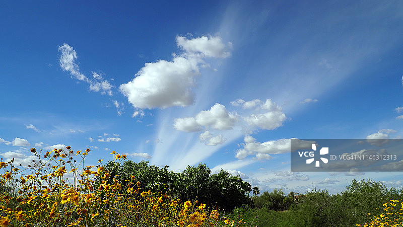 从春天走向夏天图片素材