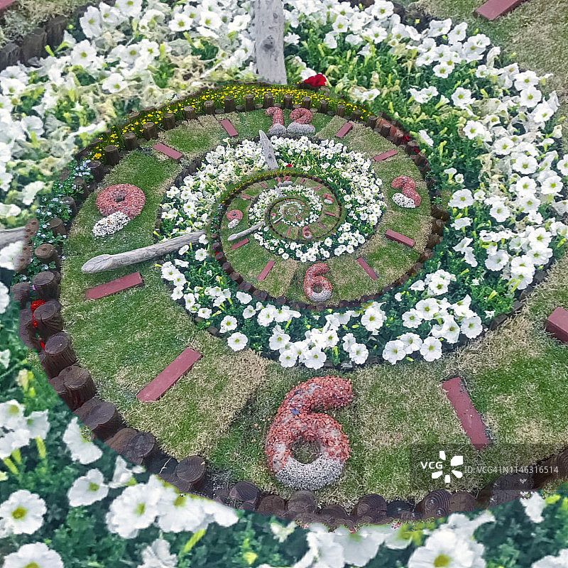 永恒的钟面花坛图片素材