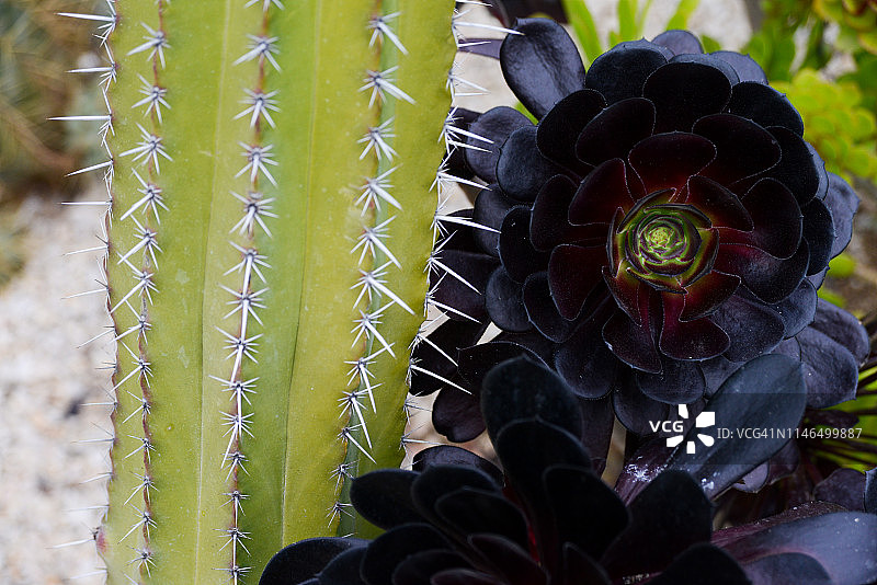 黑法师图片素材