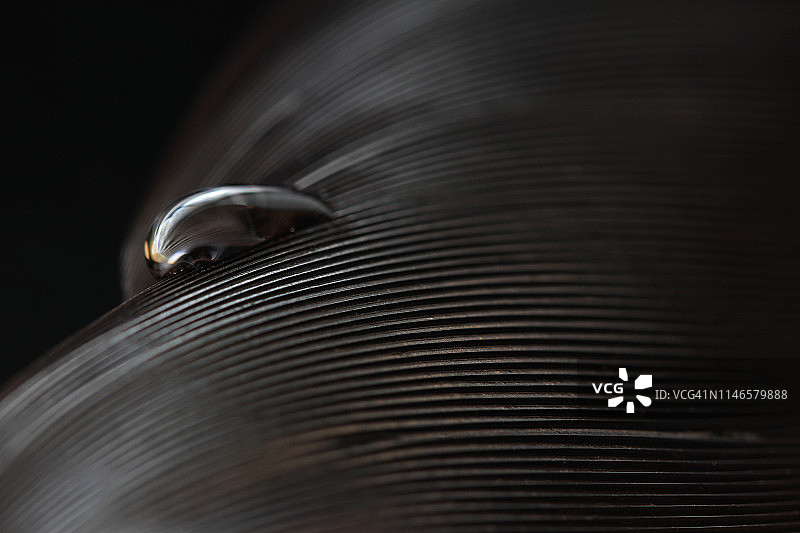 水滴下的深棕色羽毛特写图片素材