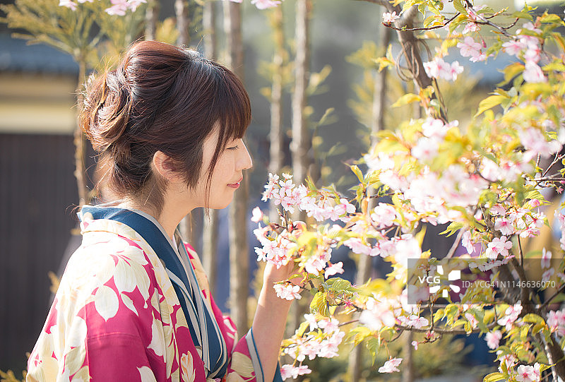 身穿和服的女人图片素材