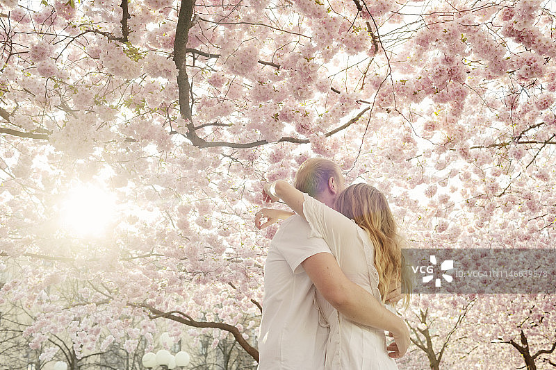 情侣在盛开的樱花树下相拥图片素材