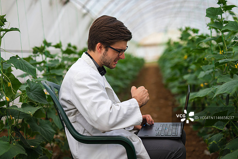 科学家在温室里庆祝成功图片素材
