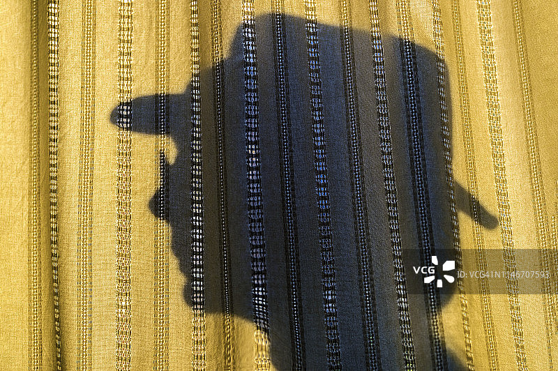 戴帽子的女人剪影图片素材