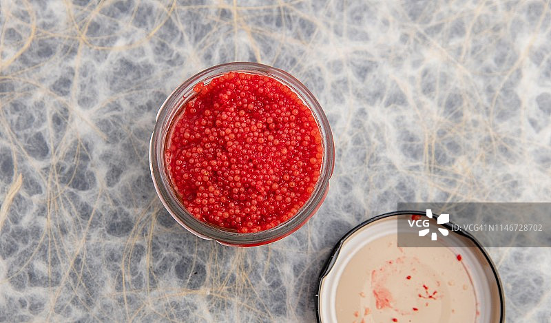 圆鳍鱼卵图片素材