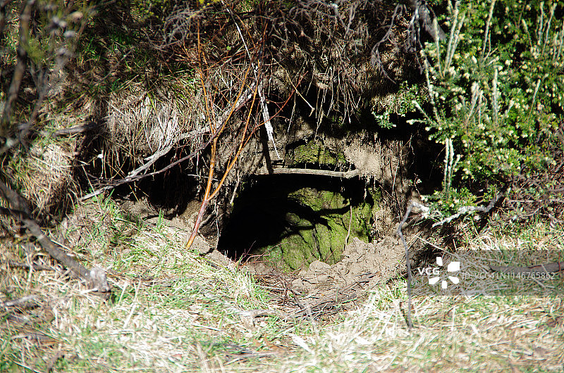 澳大利亚新南威尔士州科希丘什科国家公园的袋熊洞穴图片素材