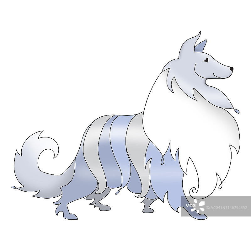 设得兰牧羊犬或柯利牧羊犬剪贴画插画图片素材