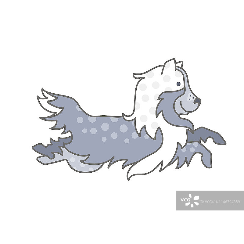 设得兰牧羊犬或柯利牧羊犬剪贴画插画图片素材