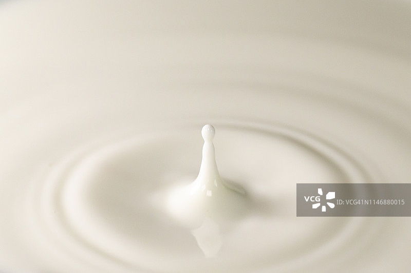 鲜牛奶滴入奶池，白色背景，带有圆形波纹图片素材
