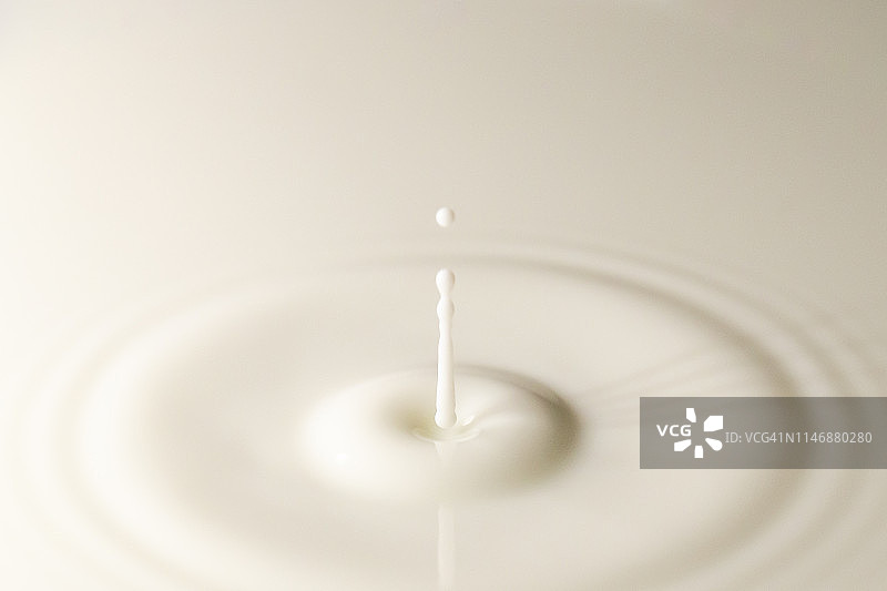 鲜牛奶滴入奶池，白色背景，带有圆形波纹图片素材