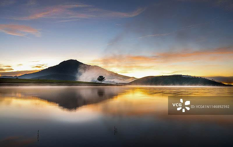 黎明时分湖中孤树的倒影图片素材