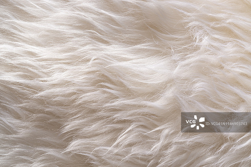 白色羊毛图片素材