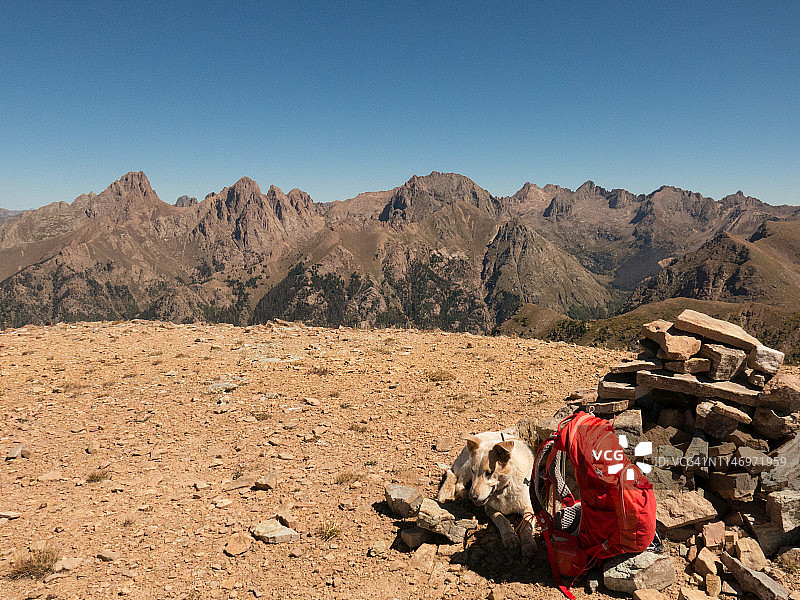 小狗在山中背包旁休息图片素材