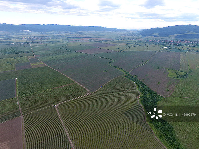 保加利亚玫瑰园图片素材