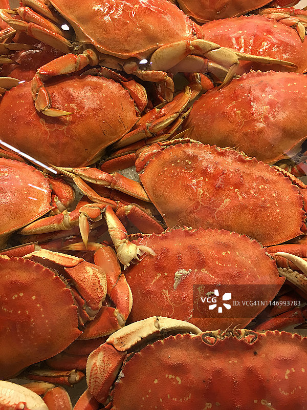 螃蟹市场图片素材