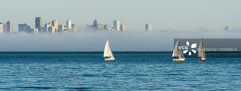 旧金山湾的帆船图片素材