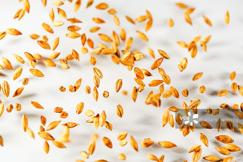 高速同步捕捉到的半空中跳跃的大麦茶图片素材