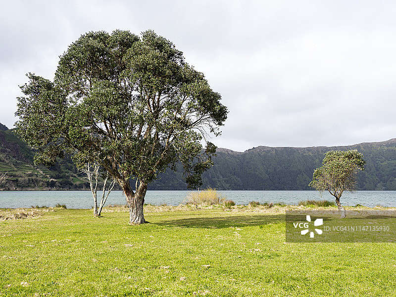 亚速尔群岛圣米格尔岛湖岸风光，葡萄牙图片素材