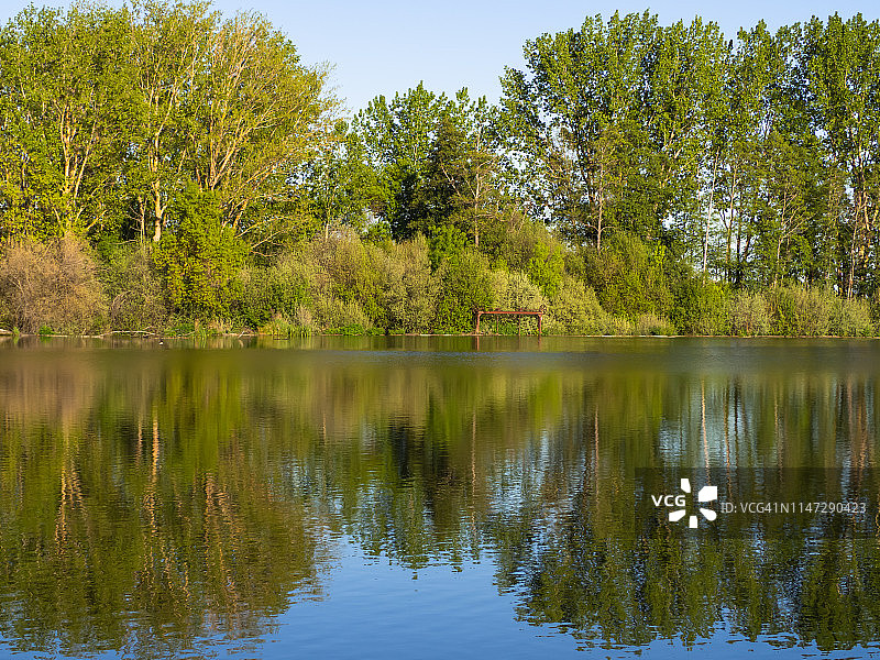春季河岸树木景观图片素材