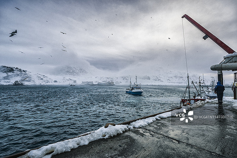 北冰洋鳕鱼捕捞船图片素材