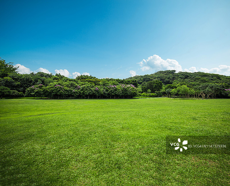 城市公园草地图片素材